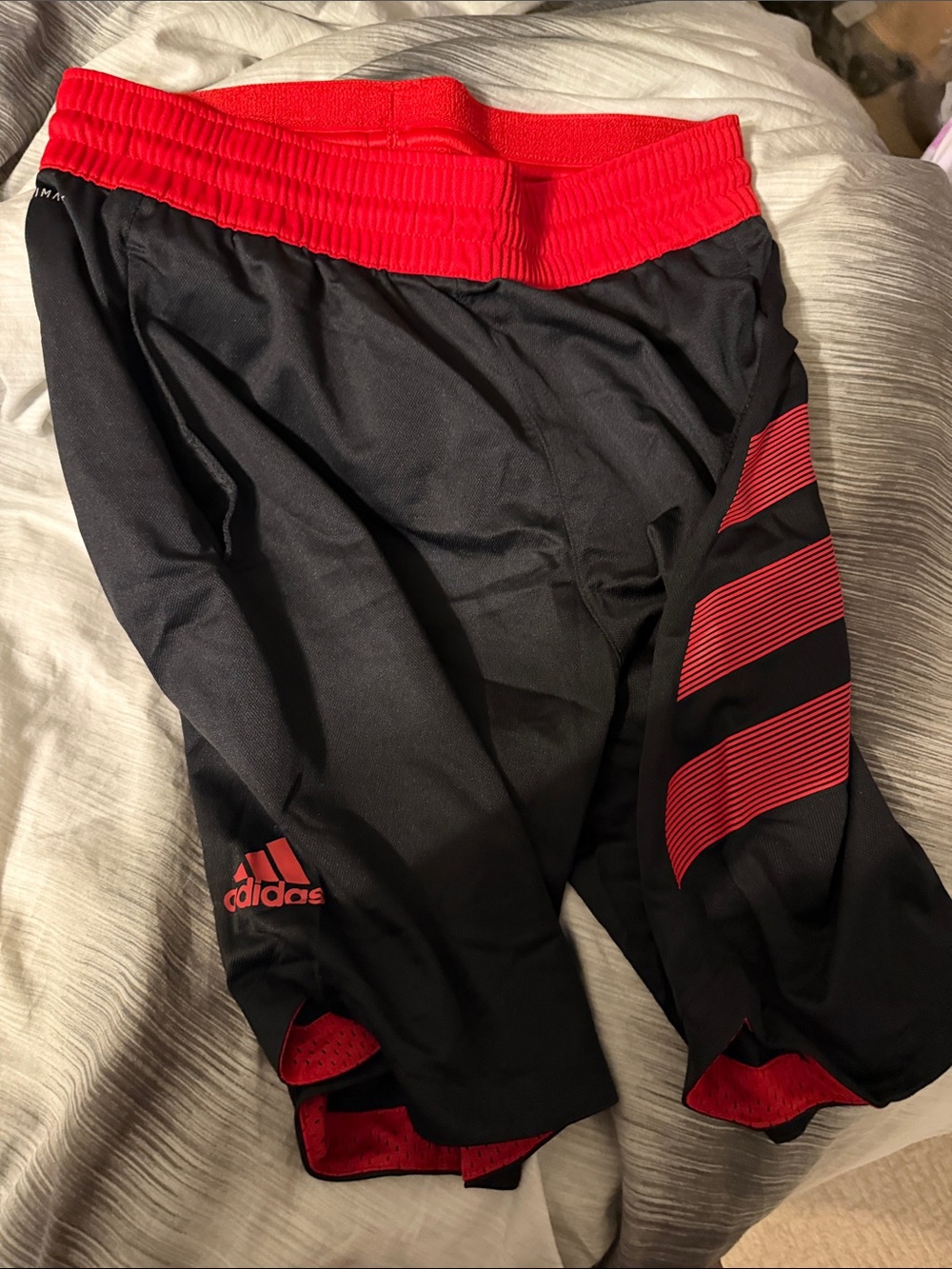 adidas Black Shorts with Red Accent Stripe